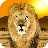 Popar Safari icon