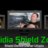 NVidia Shield Zone Companion 1.8