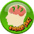 Memory Quiz icon