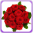 Roses Gallery icon