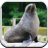 Sea Lion Sounds for Kids icon