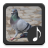 Pigeon Sounds icon