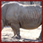 Rhinos Wallpaper App icon