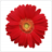 Malachite Studio Expansion Flowers Pack1 Free icon