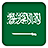 Selfie with Saudi Arabia Flag icon