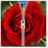 Rose Zipper Lock icon