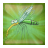 Nature Insects Sounds APK Download