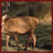 Stag Deer Wallpaper App icon
