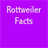 Rotwieller icon