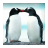 Penguin Zipper Screen Lock icon