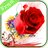 Roses Live Wallpaper icon
