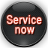 Service now icon