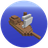 Ship Mod icon