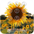 Sun Flower Lockscreen icon