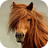 Ultimate Horses Locker Theme icon