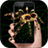 Spider in phone 2.5.0