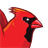 Survivor Birds 2 icon