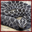 Rattlesnakes Wallpaper App icon
