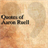 Quotes - Aaron Ruell icon