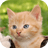 Sweet Cat Locker Theme icon