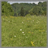 Prairie Meadow Wallpaper App icon