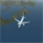 Random Plane icon