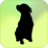 Rottweiler Puppies icon