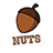 NutsFeesten icon