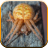 Spider Sounds for Kids icon