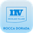 NV Rocca Dorada icon