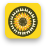 Sunflowerfest 2015 icon