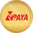 RuPaya icon