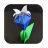 Nature Origami icon