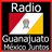 Radio Guanajuato México Juntos icon