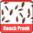 Roach Scare Prank icon