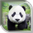 Panda Live Wallpaper version 1.0