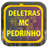 MC Pedrinho de Letras version 1.0
