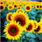 Sunflowers Live Wallpaper version 3.2.0.0