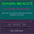 Shawn Mendes Music&Lyrics version 1.1
