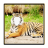 Tiger Photo Frames version 1.0