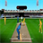 Never-Played Cricket Games version 1.2