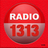 Radio 1313 icon