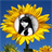 Sunflower photo frames Maker icon