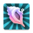 The Magic Shell icon