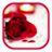 S6 Hd Rose Live Wallpaper icon
