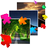 Road Collection Puzzle icon