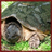 Snapping Turtles Wallpaper App icon