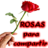 Rosas para compartir icon