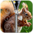 Squirrel Zipper Lock icon