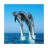 Ocean HD Wallpapers icon